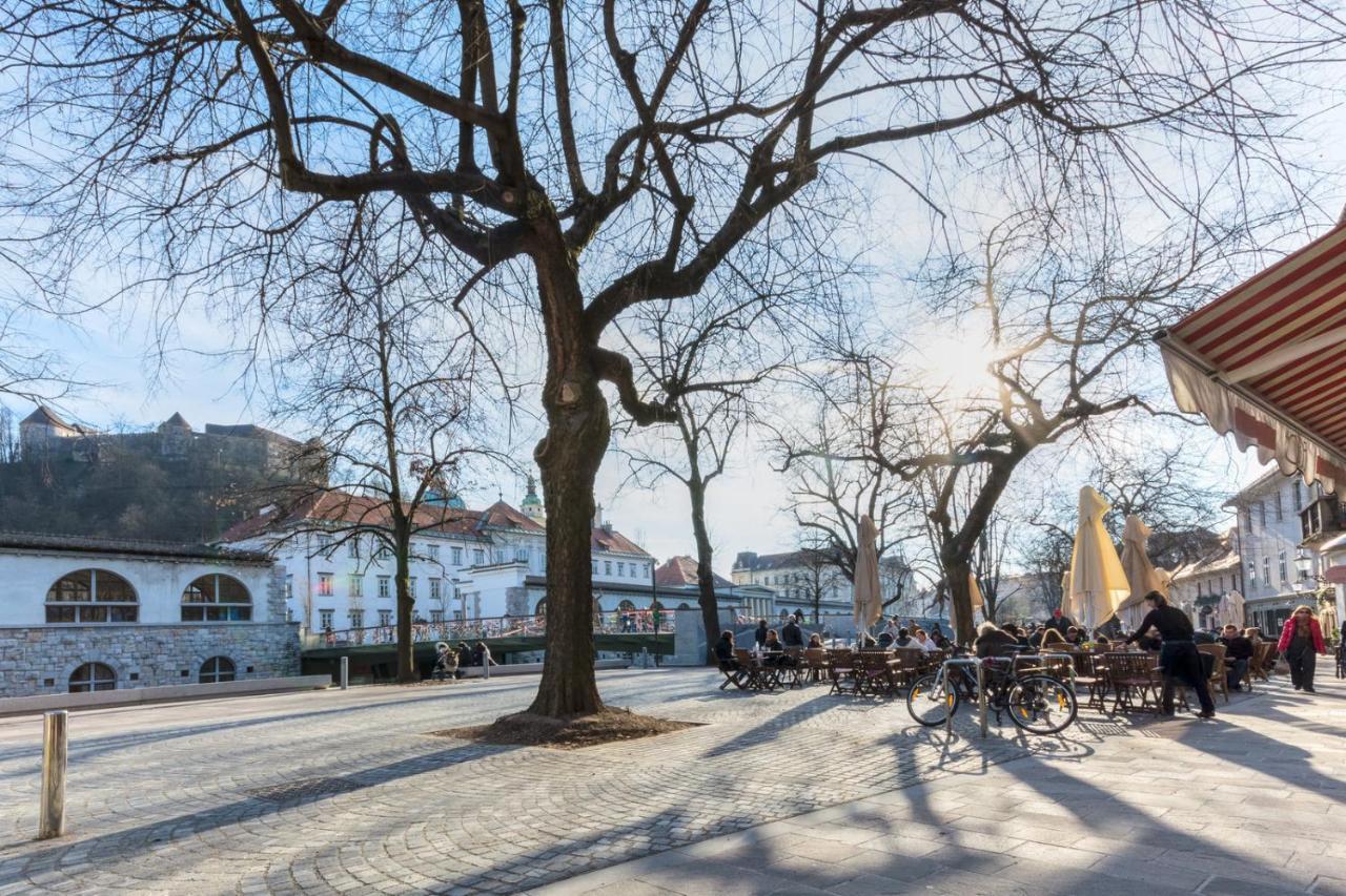 Old Town Apartments Ljubljana Extérieur photo