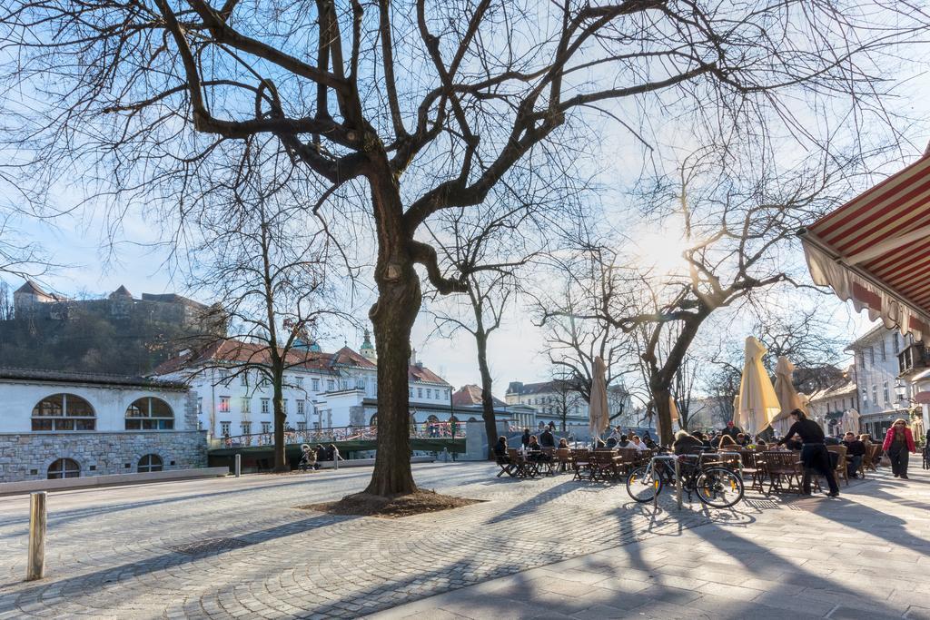 Old Town Apartments Ljubljana Chambre photo