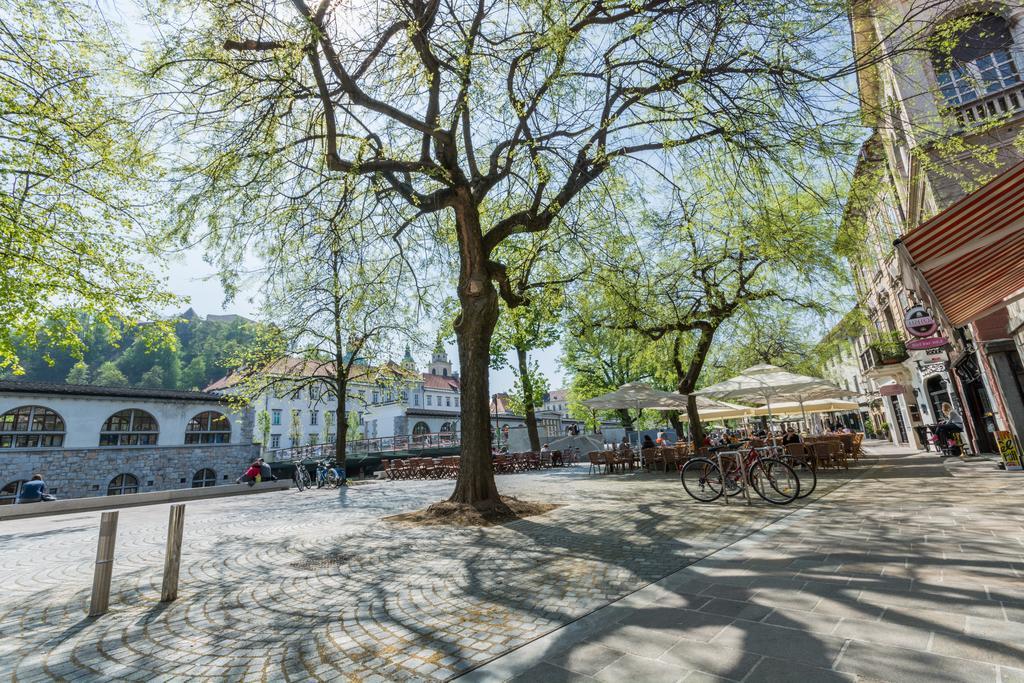 Old Town Apartments Ljubljana Chambre photo