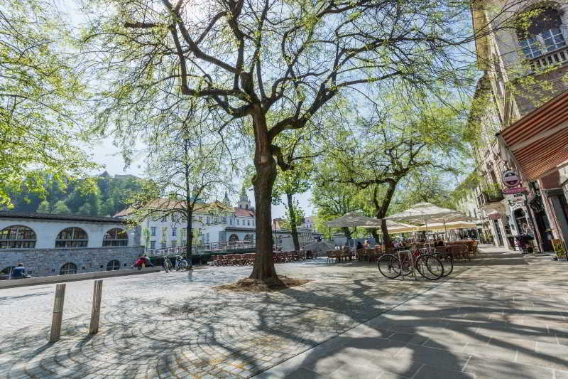 Old Town Apartments Ljubljana Extérieur photo